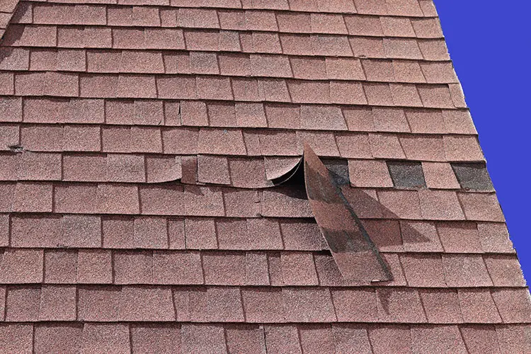 Storm-damaged asphalt shingles on a roof